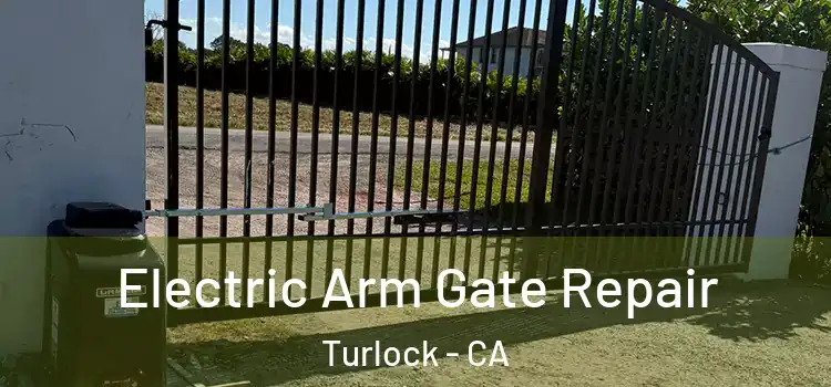 Electric Arm Gate Repair Turlock - CA